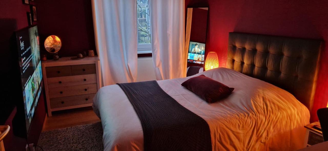 Cosy Appartement Complet Centre-Ville Montbéliard Dış mekan fotoğraf